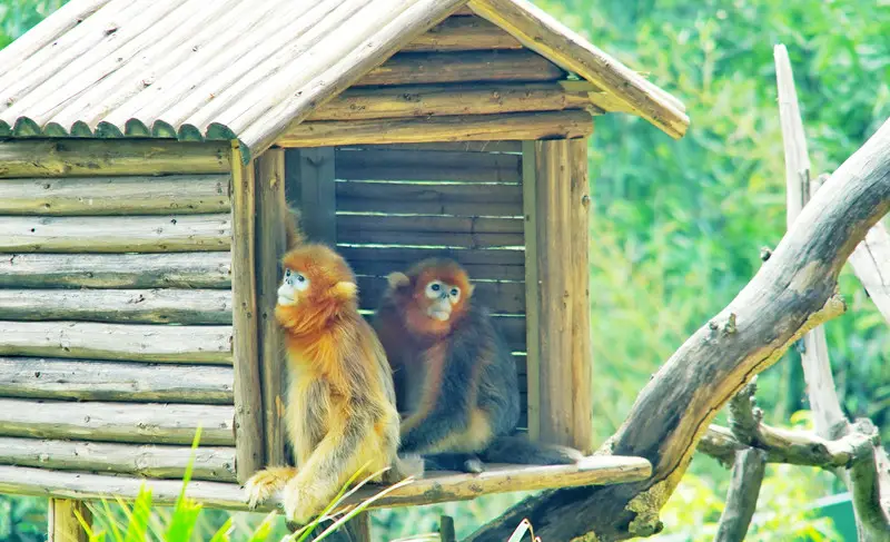 长隆欢乐世界旅游攻略景点必去（三天三夜欢乐长隆之旅）