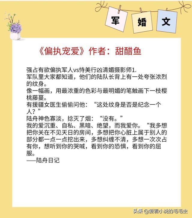 军婚文(5本超赞的军婚文推荐，男主雅痞专情军官，唯独将她宠成小公主)