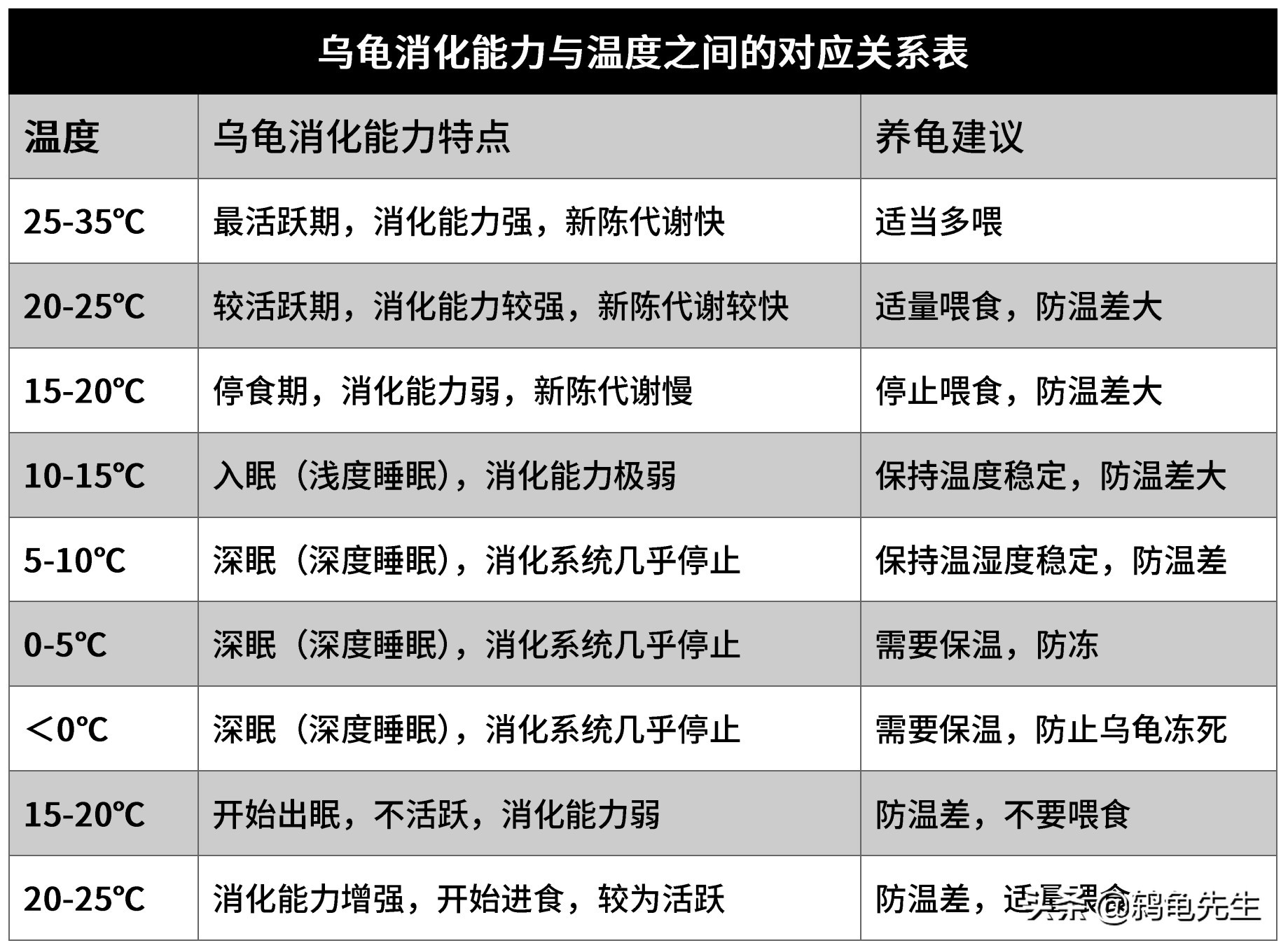 冬季北方室内有暖气条件下养乌龟并不难，详解饲养方法与注意事项