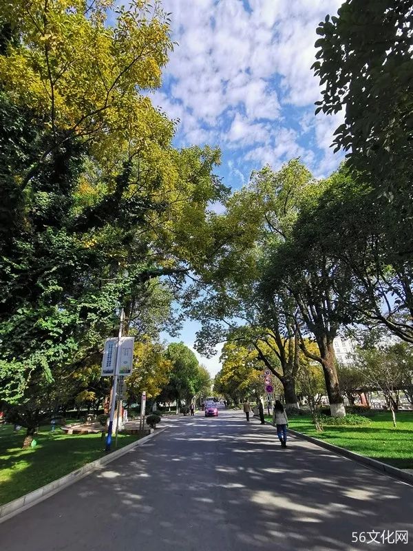 联大｜这所学校仅存在8年，却名家荟萃！（上）