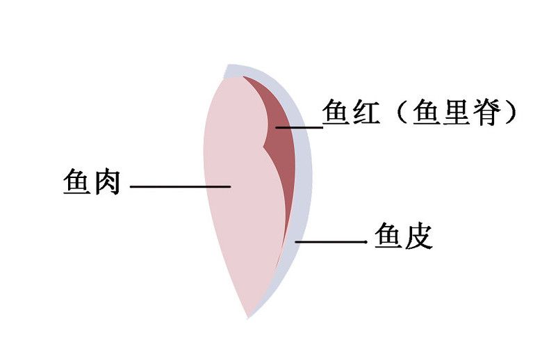 吃魚怕有刺？“無刺鯽魚“、"無刺"魚肉的做法來了