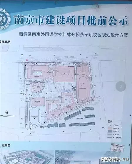 细数南外家族，分校遍地开花，究竟孰亲孰疏？