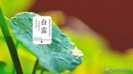 明日白露，祝你快乐