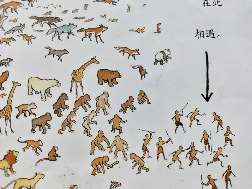 细节中见高低，《一条聪明的鱼》：告诉孩子追梦的脚步，不该停