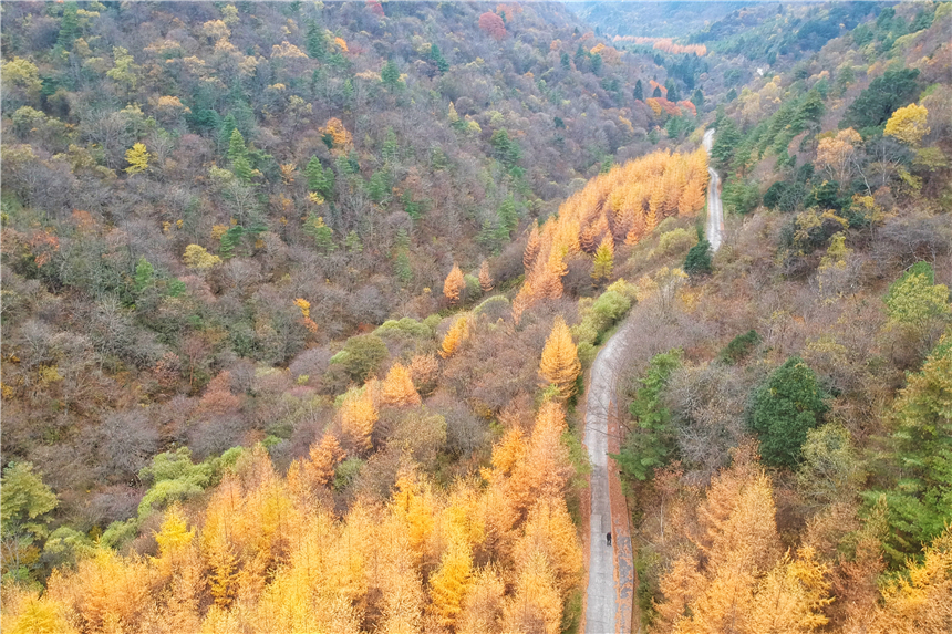 秋天有多美？自驾陕南，走进秦岭深处，遇见这个季节最美的色彩