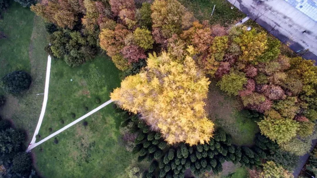 西安这座学费高达3万的大学，凭什么比985、211还受人欢迎？