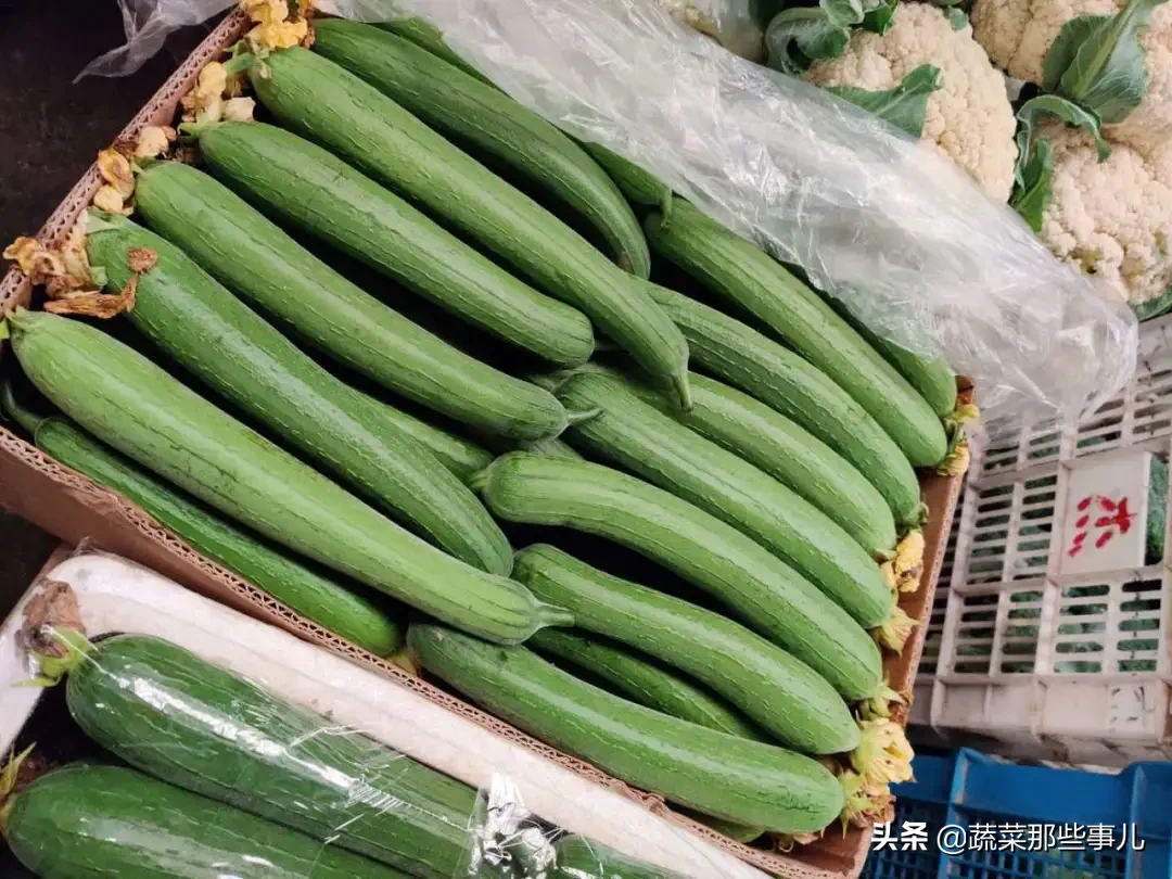 甘蓝、薄皮椒、芸豆、丝瓜、牛心菜价格下降，近期恐难涨