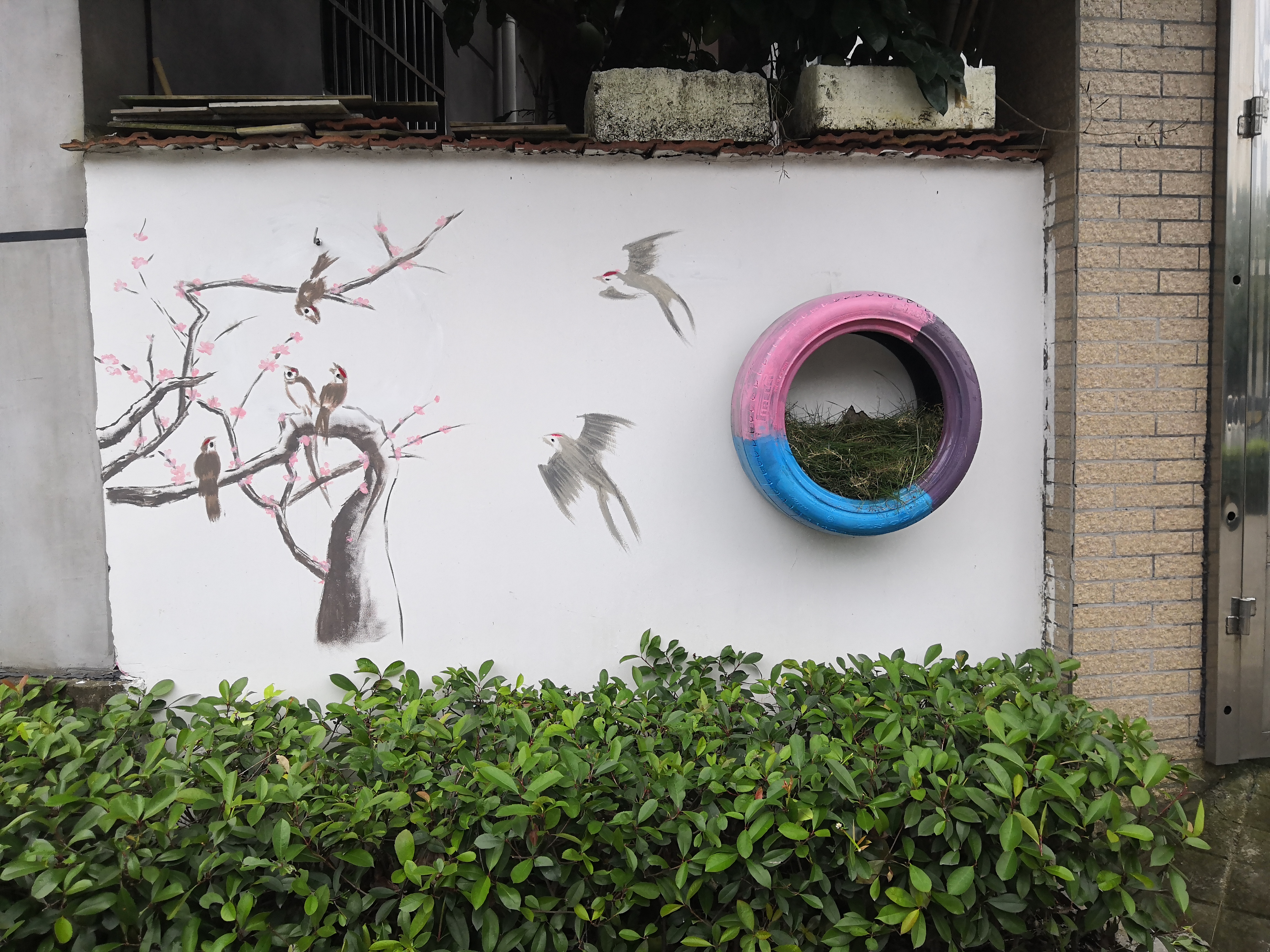 浙江理工大学科技与艺术学院学子助力上虞百官美丽庭院改造