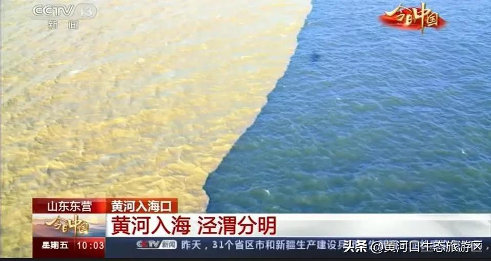 【黄河口生态旅游区】新晋百强 华东第一!