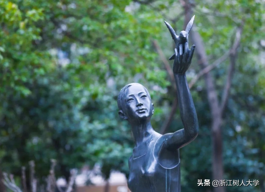 扩招啦！浙江树人大学2020年“专升本”招生计划大揭秘！