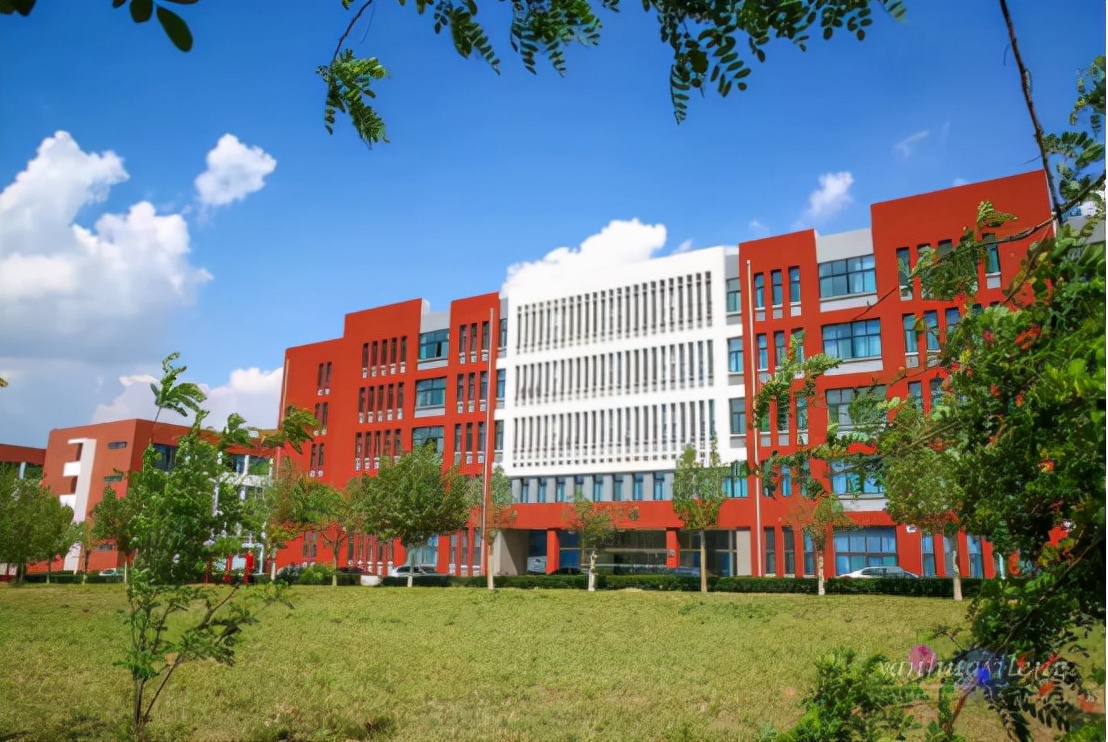 山东省喜迎三所“新大学”，以后考生有福了，本省学生表示很赞