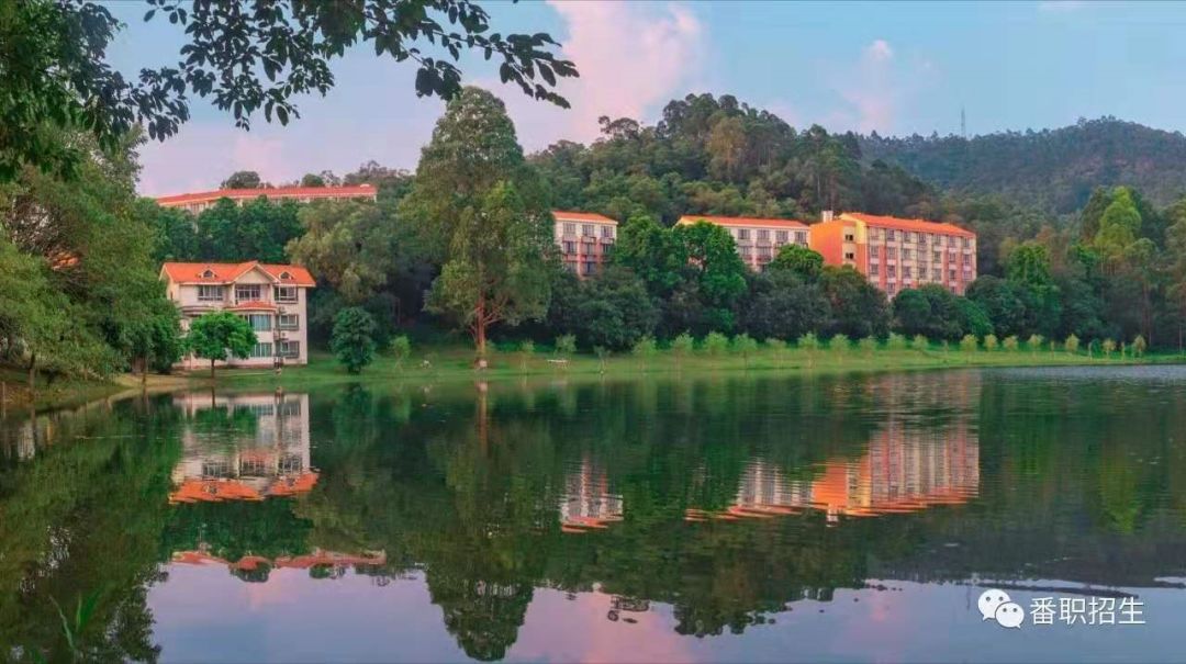 重磅！番职院2020年试点本科招生