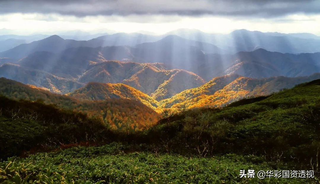 集团财务管控系列｜三：集团财务管控模式设计及财务管控体系模型