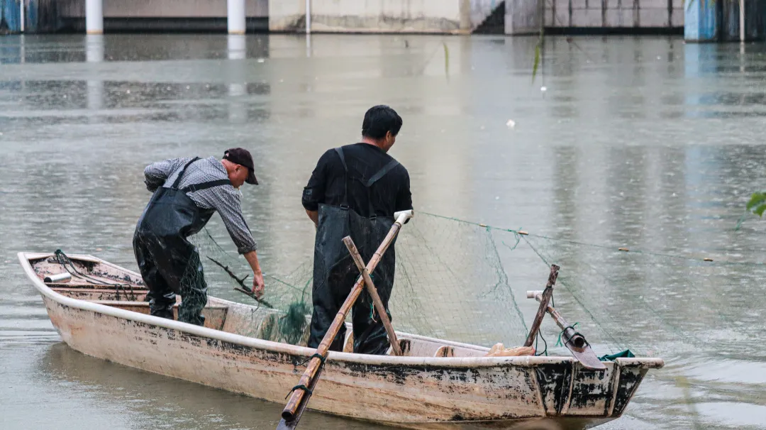 金职喊你免费吃鱼啦