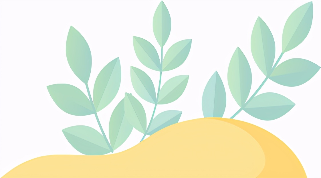 专接本院校｜沧州师范学院：招生也在缩减！慌