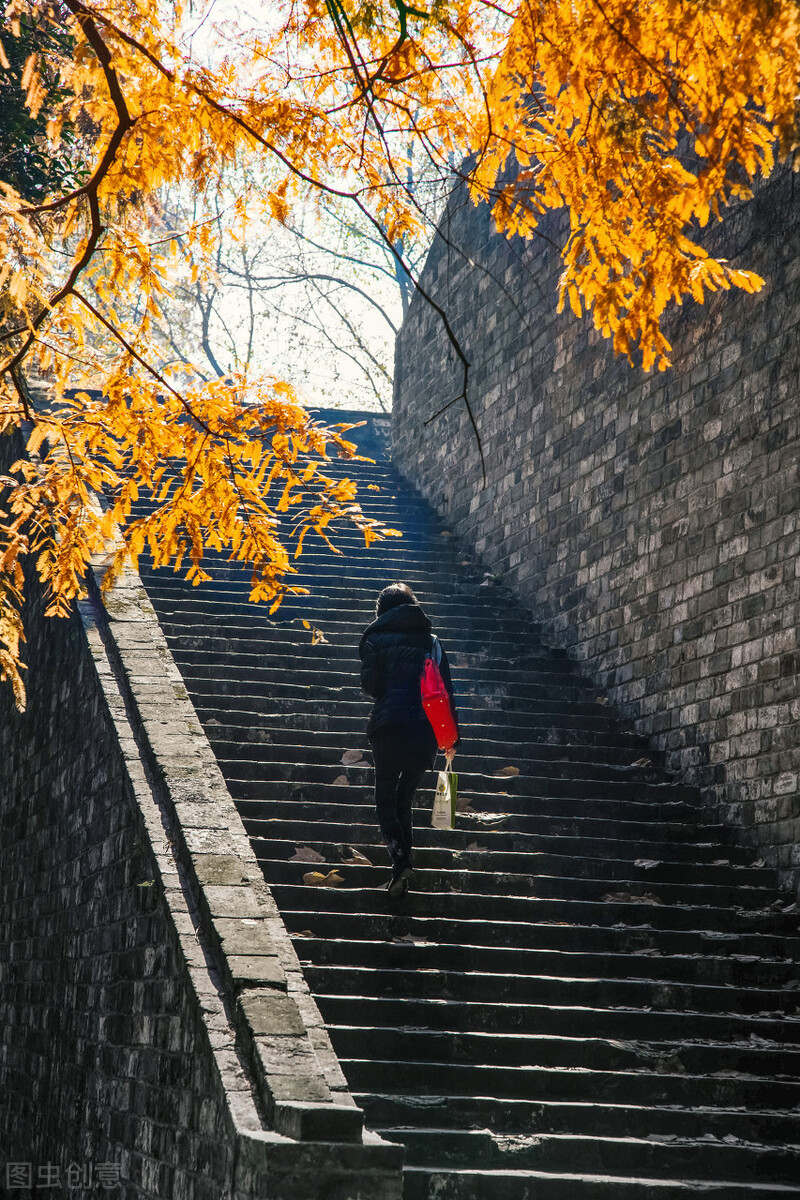 一见南京误终身！忽然，想去金陵了