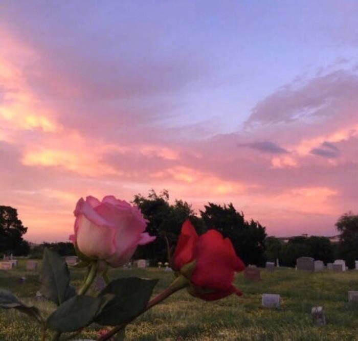 有关夕阳黄昏的文案♡