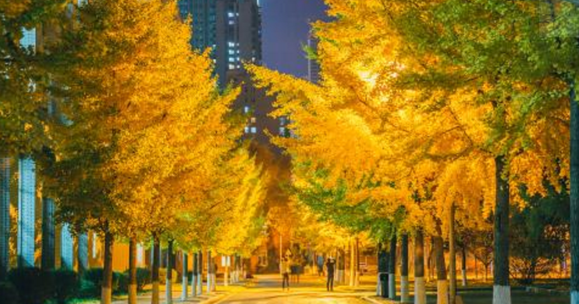 河北一所985好大学，被名字“耽误了”，常被误认为野鸡大学