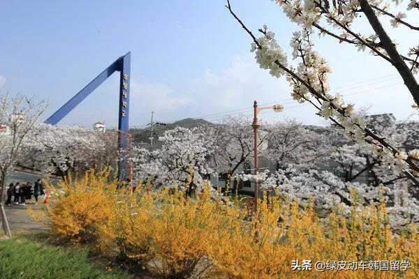 无语言申请博士 | 韩国所有大学、专业汇总