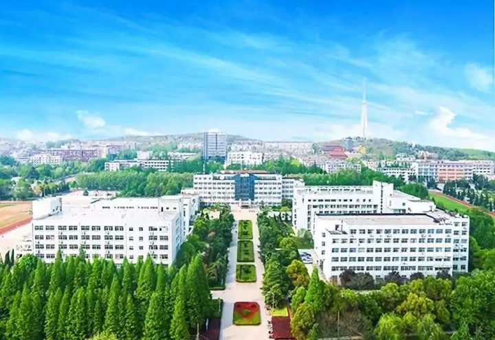 安徽专升本｜市场营销有哪些学校性价比最高？