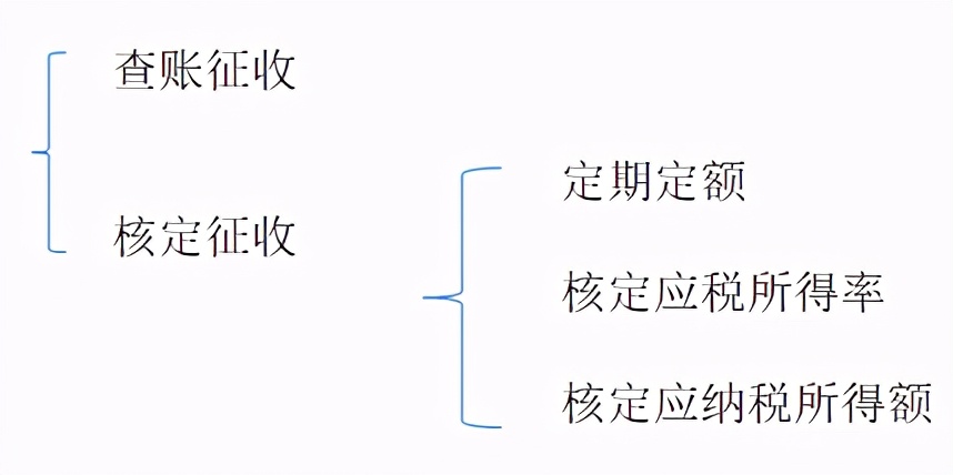 定期定额个体户被查，补缴200余万！务必用好这项重大税收政策