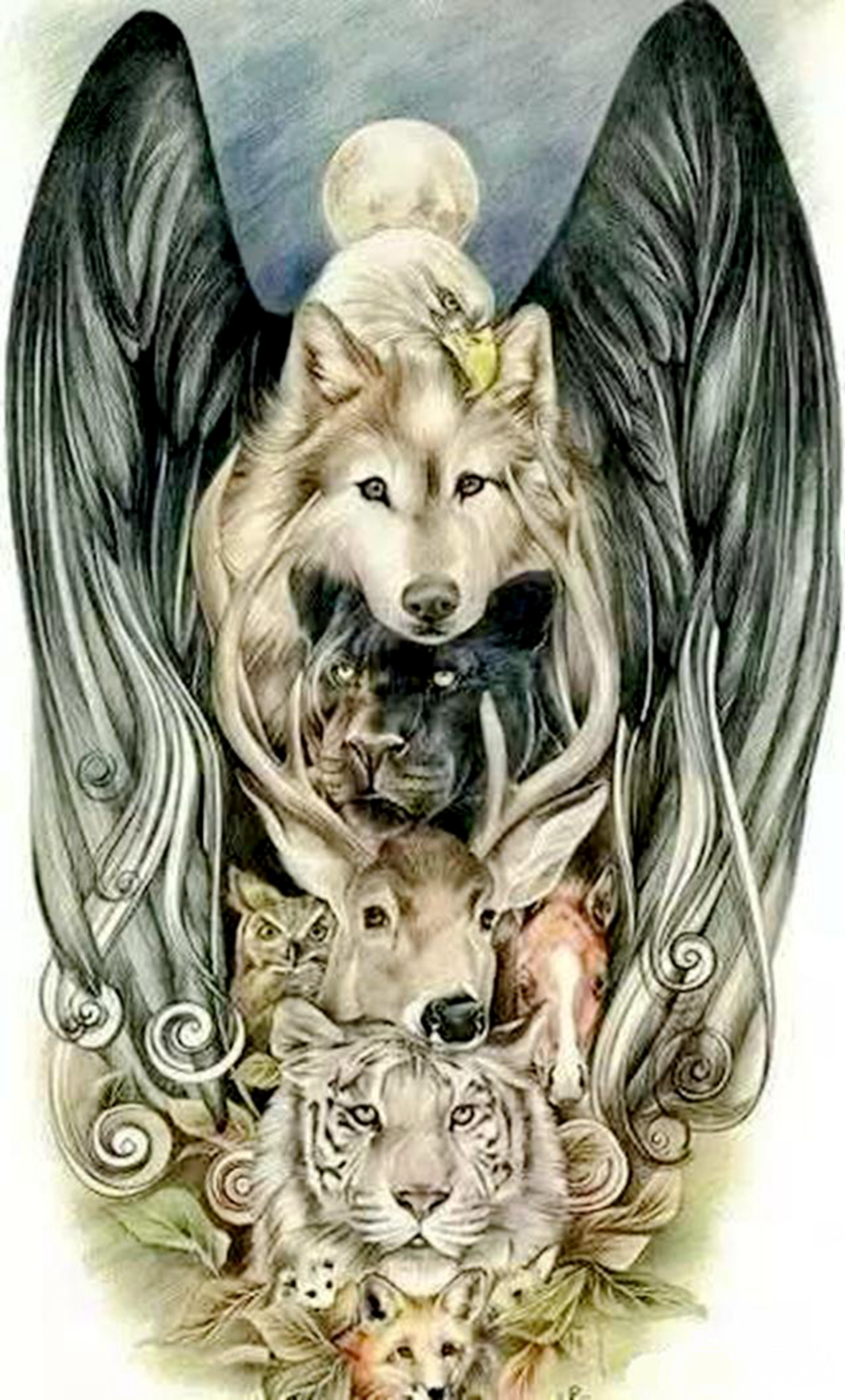 考眼力图片(兔子去哪了) - 赤虎壹号