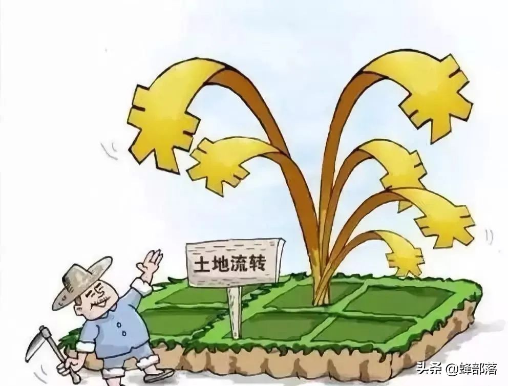 “十三五”農(nóng)機(jī)補(bǔ)貼958億，貼息貸款最高300萬(wàn)，哪些人得到實(shí)惠？