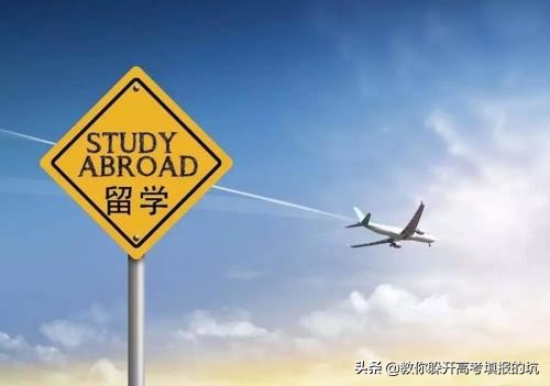 5个最容易留学的专业推荐！除了国内高考，你还可以有更多选择