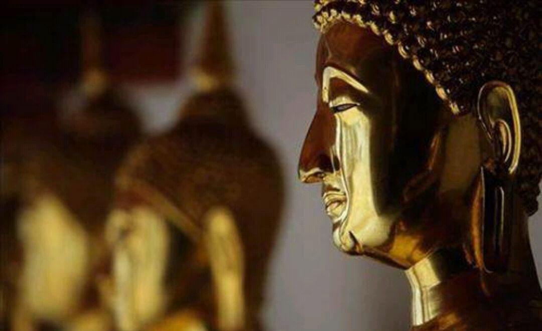 释迦牟尼建立了佛教，为何佛教人士的佛号却念得阿弥陀佛？
