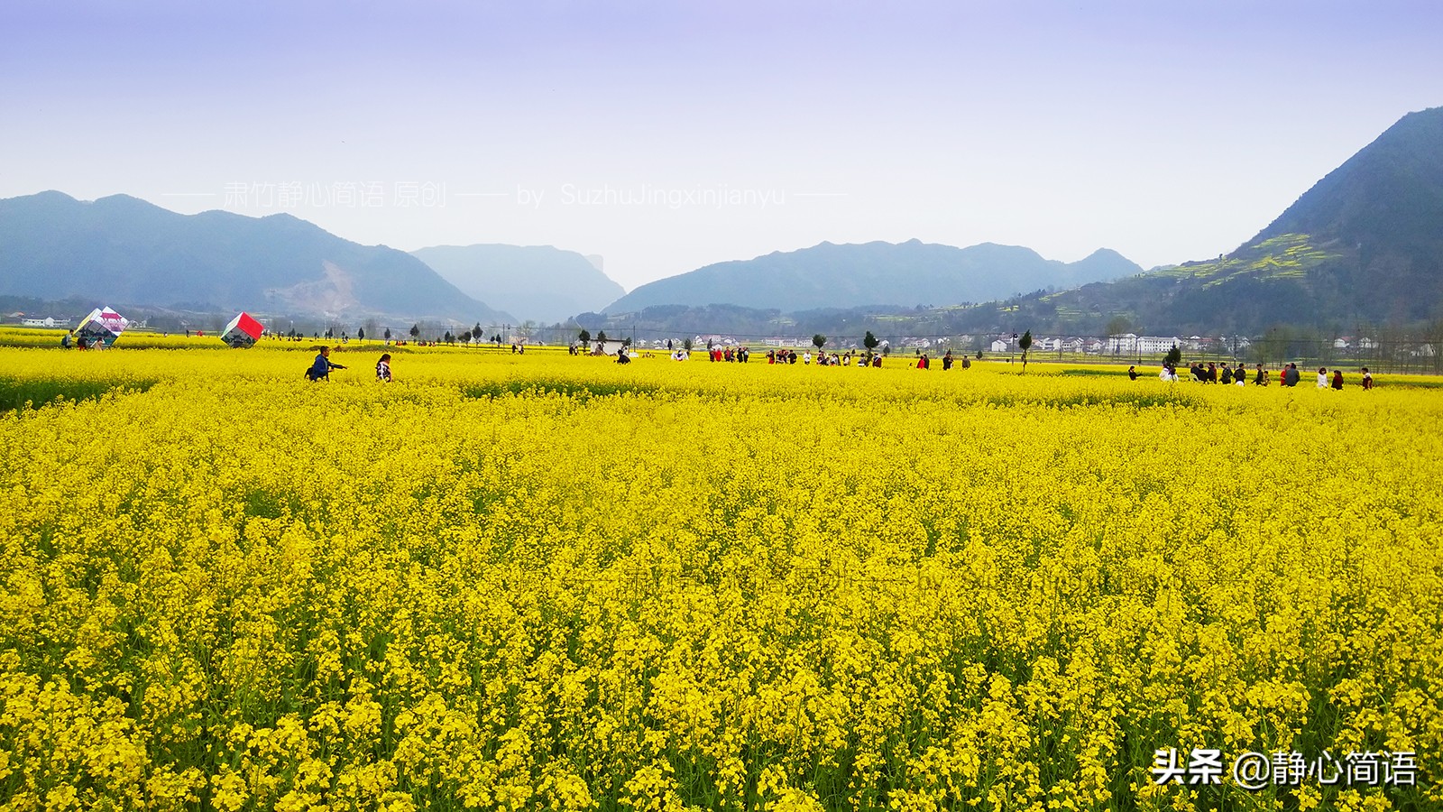 如果你是爱花人，鲜花定会为你开