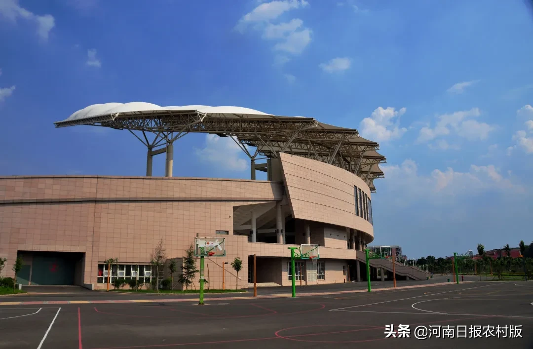 今年郑州大学本硕博招19474人，新增“国际政治”专业，大幅增加农村专项招生计划