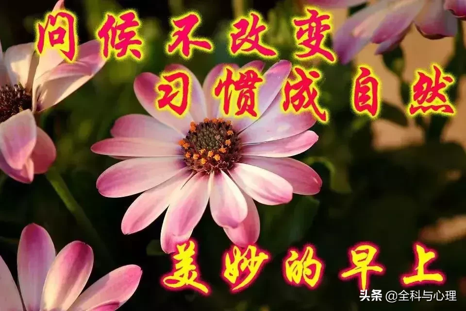 端午节早安心语温馨语句