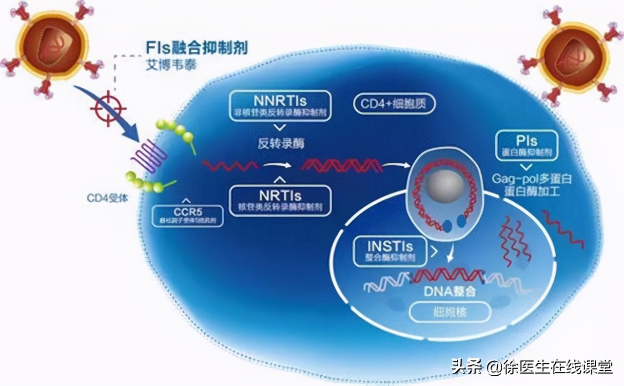 胃病患者想要根治幽门螺杆菌，二联疗法和四联疗法哪一个更优秀？