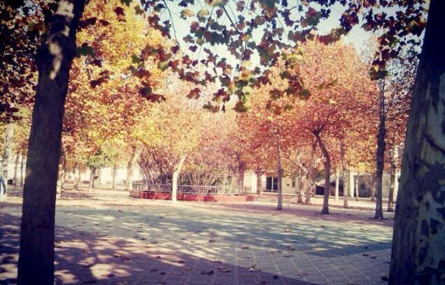 河南省这所高中厉害了，喜获文理状元，2020高考迎来大丰收