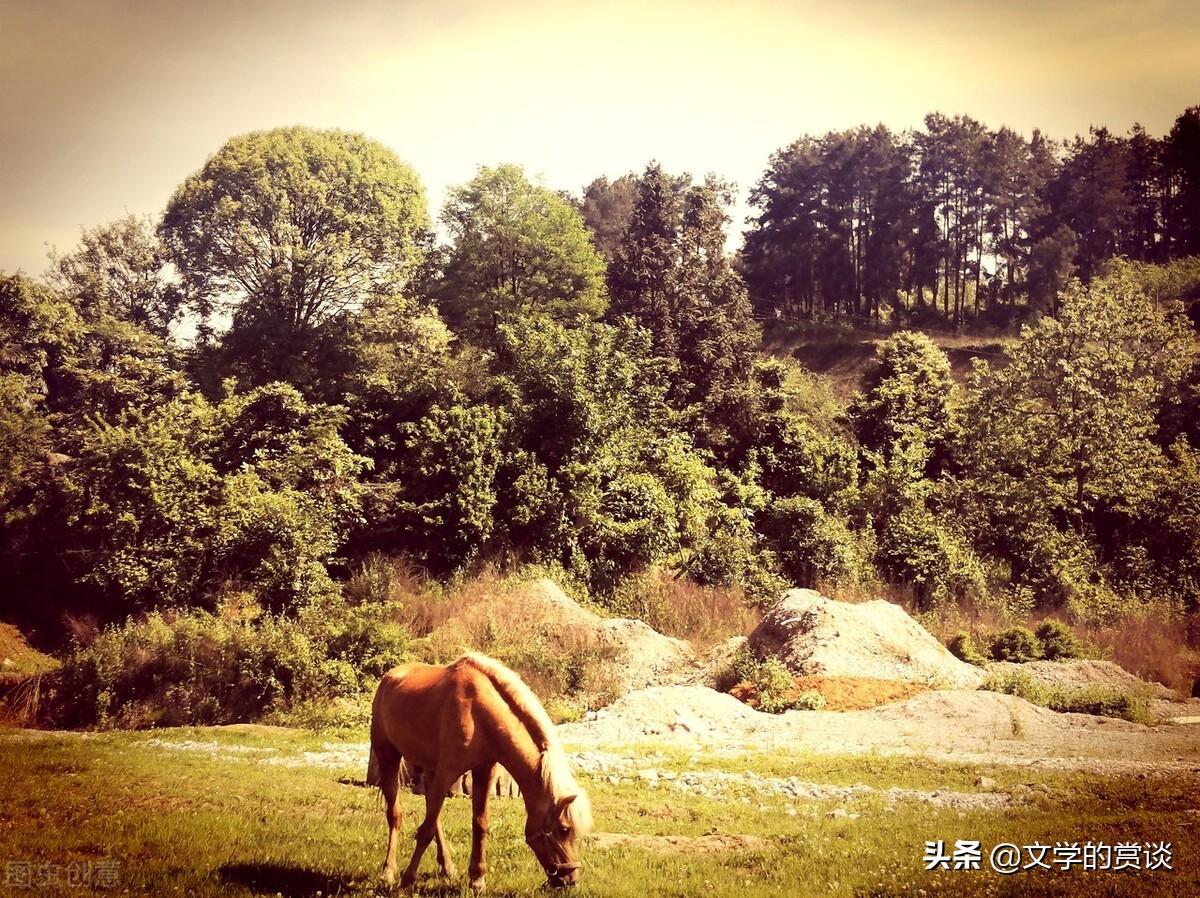 人心所向，所望自由。心有自由，则自由。《烂柯棋缘》