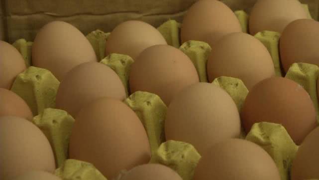 鸡蛋价格“坐火箭”！一箱鸡蛋半月涨20元，零售价破6，批发商直呼火箭上涨让人害怕