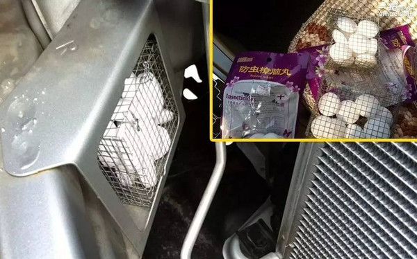 一只老鼠毁掉一辆车？很实用的方法，让它再也不敢进机舱咬线！