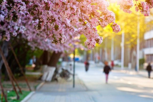 天津大学2017-2019年硕士研究生入学考试初试进入复试基本分数