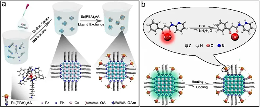 兰州大学唐瑜教授课题组近年来重要工作概览