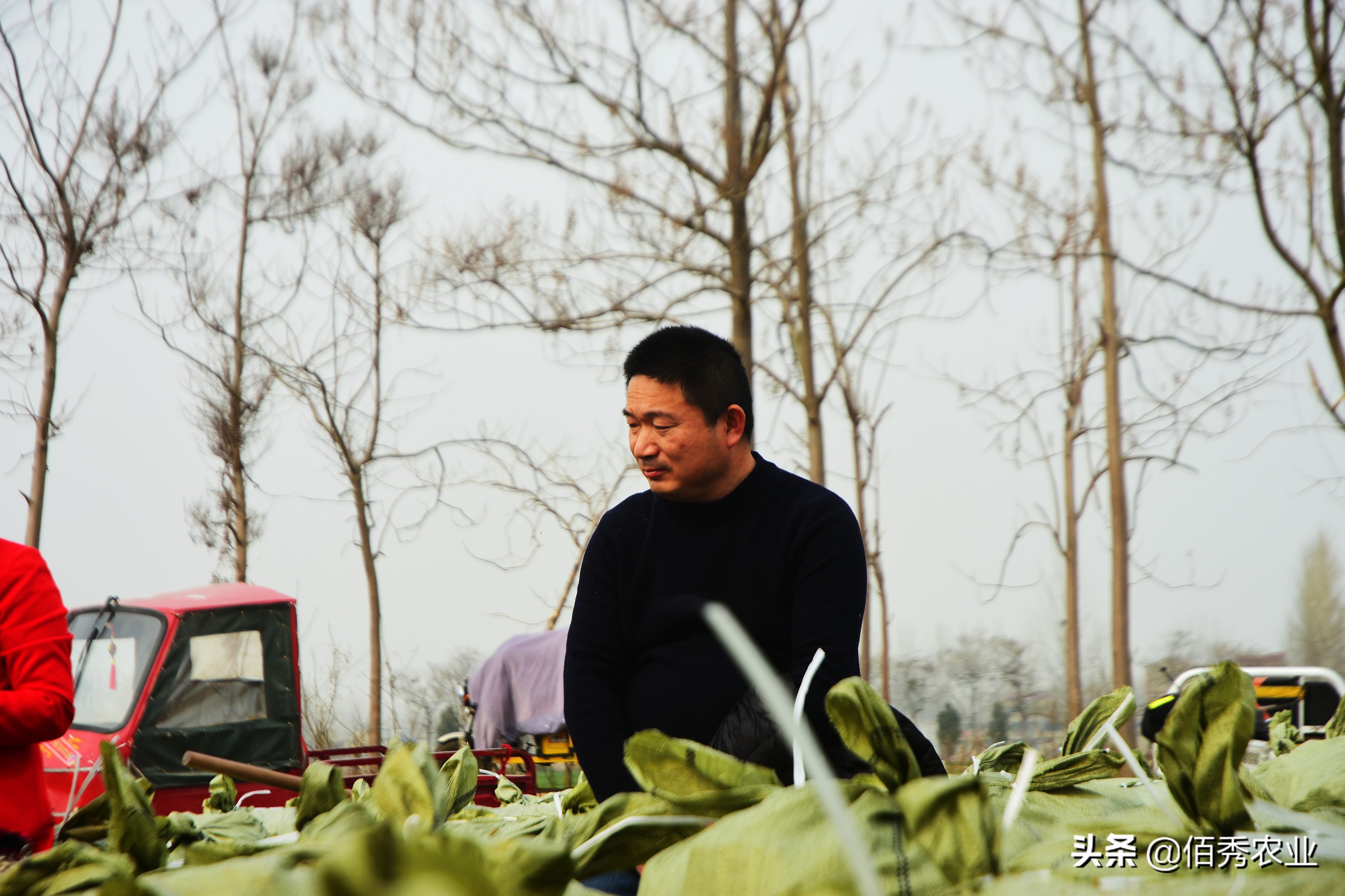 农村青年返乡创业，投入百万元进入农业，如今进退两难，咋回事？