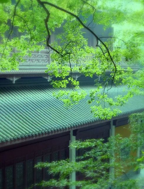 蝉这首诗表达了什么禅的意境的诗词