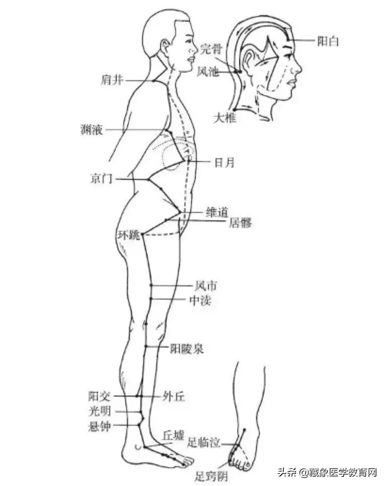 你了解经脉吗？十二经脉的位置、走向规律、交接规律及分布规律
