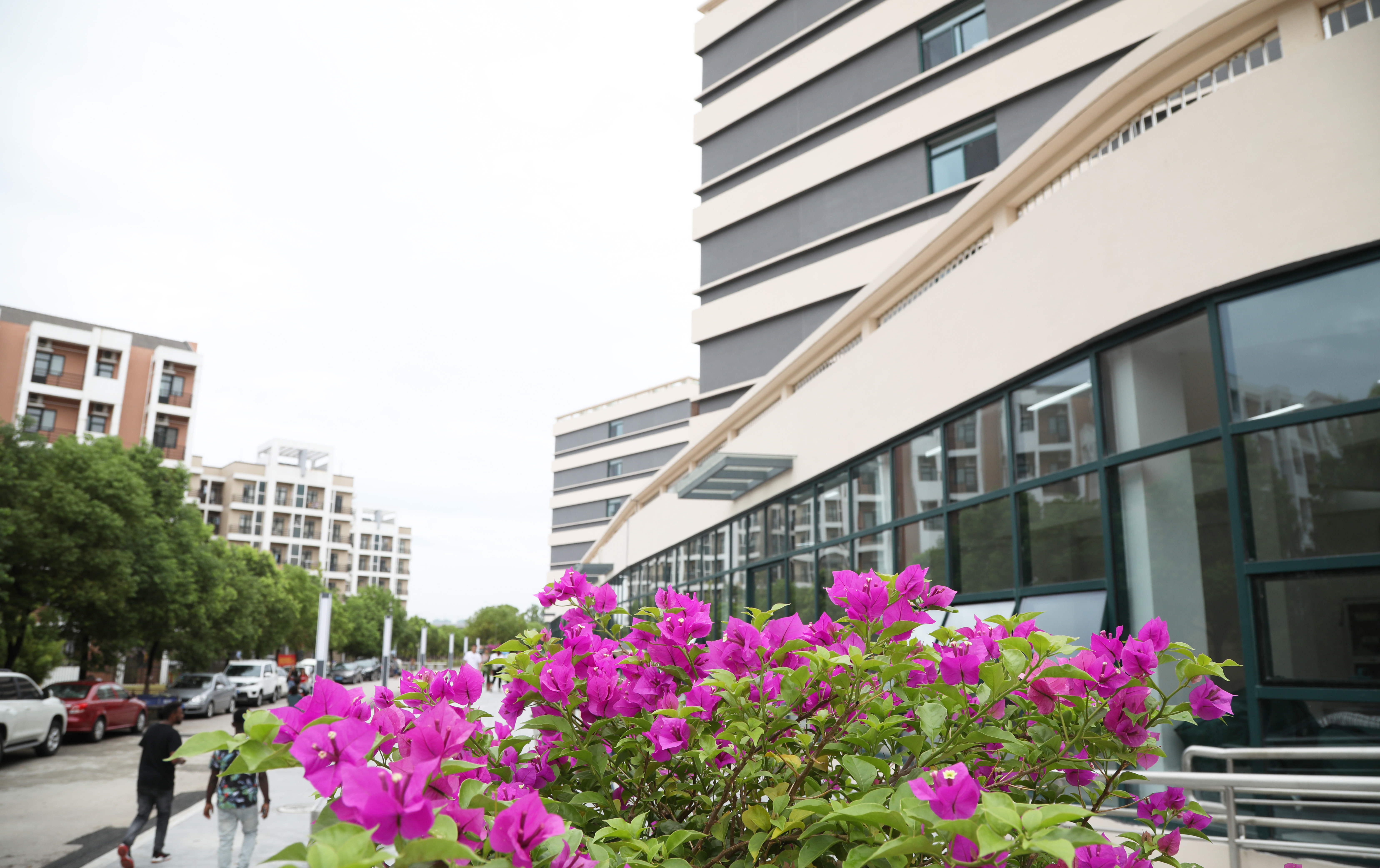 2019萌新“驾到”，中国药科大学带你直击现场！