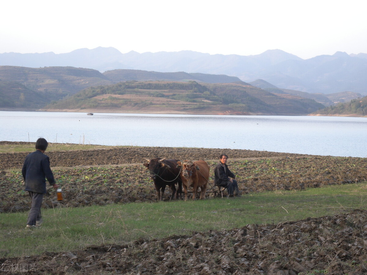 关于天气的农谚(民间谚语俗语大全天气)