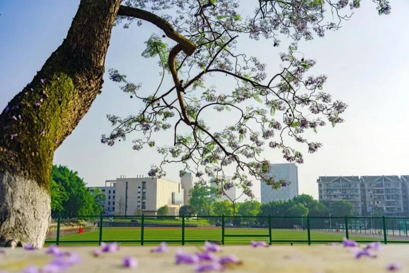 百年学府、袁隆平母校、中国最美高校、培养33位中国市长，这所大学在重庆！