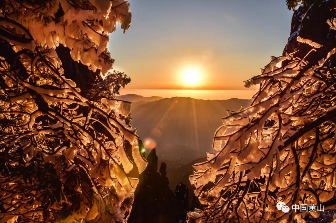 黄山屡上各大景区影响力排行榜！