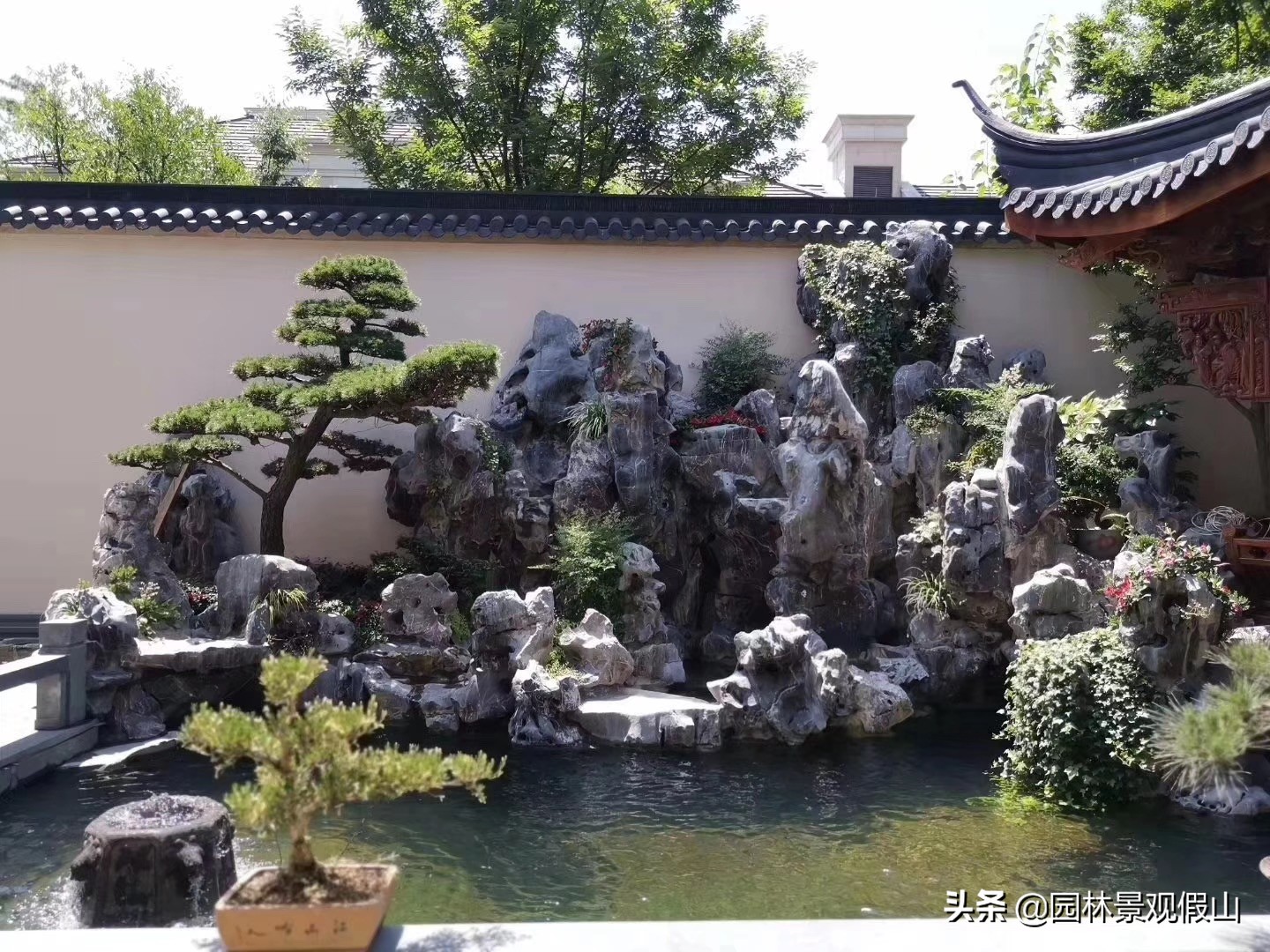 为什么庭院鱼池越来越受欢迎？听听设计师们怎么说
