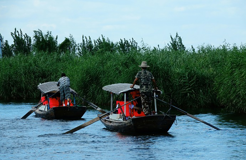 保定白洋淀风景区_河北省白洋淀旅游景点