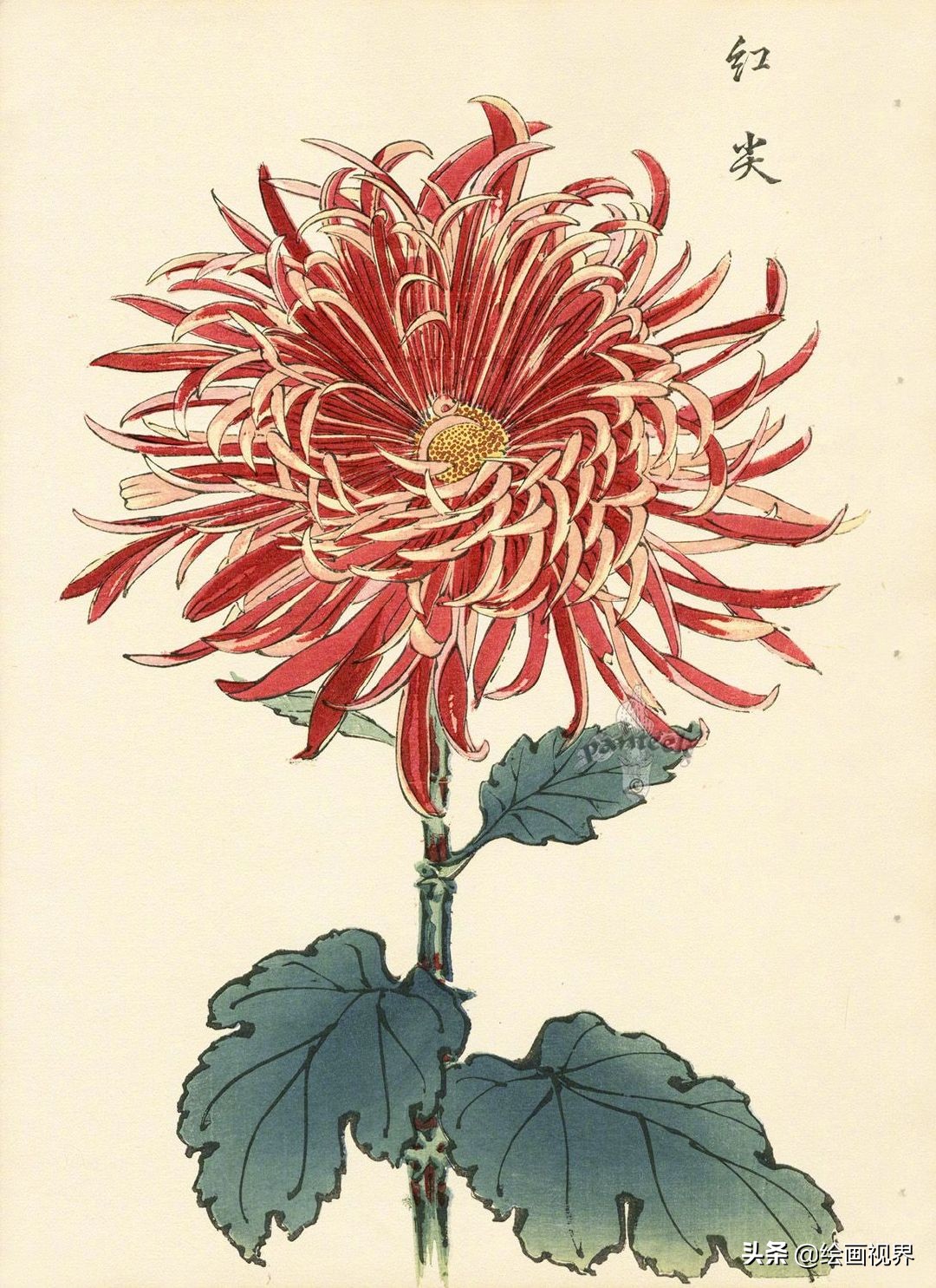 菊花的各种画法：9种常见菊花示范稿教你画，简单易学，收藏学习