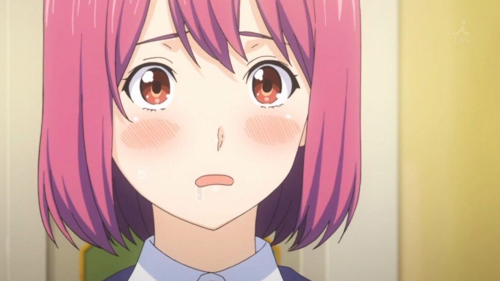 新户绯沙子——《食戟之灵》